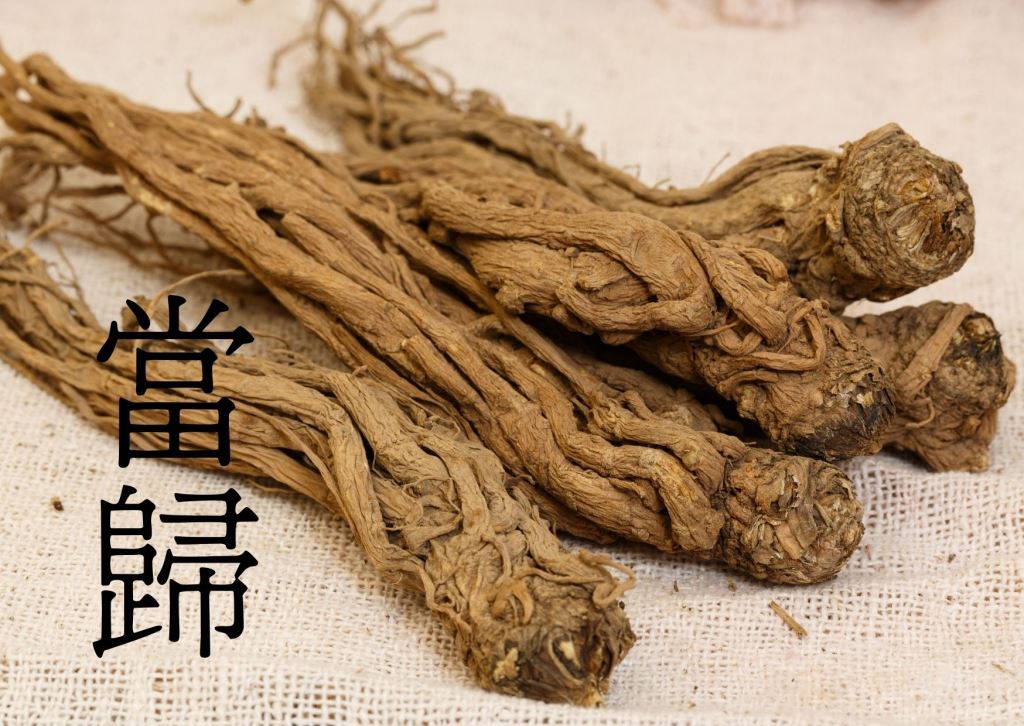 當歸植物小知識